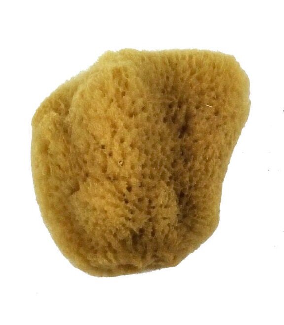 Round throwing sponge