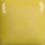 FN-232 Sun Yellow