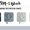 SM-1 Black